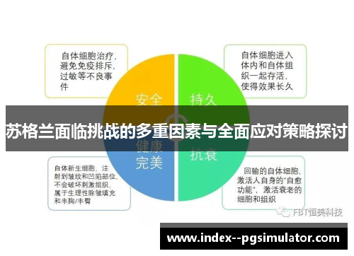 苏格兰面临挑战的多重因素与全面应对策略探讨
