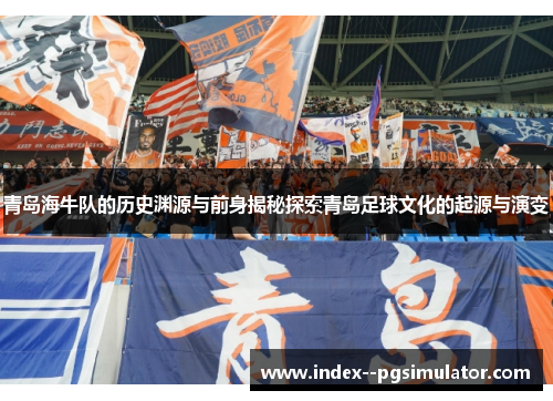 青岛海牛队的历史渊源与前身揭秘探索青岛足球文化的起源与演变