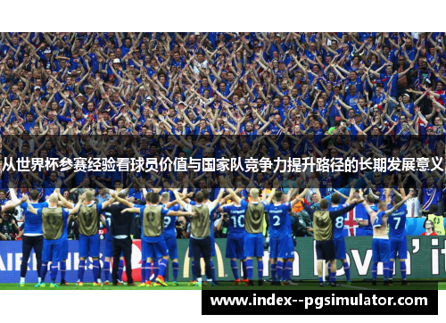 从世界杯参赛经验看球员价值与国家队竞争力提升路径的长期发展意义