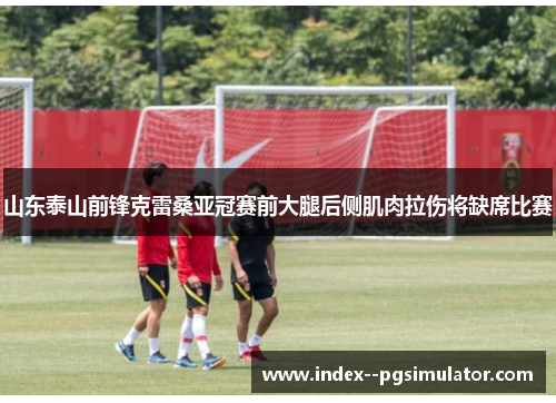 山东泰山前锋克雷桑亚冠赛前大腿后侧肌肉拉伤将缺席比赛